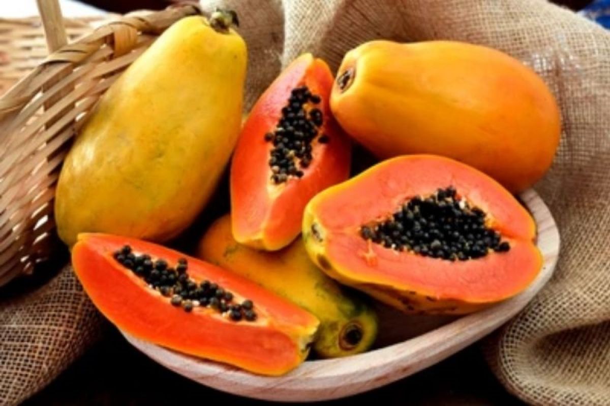 Pepaya: Buah Tropis yang Kaya Manfaat